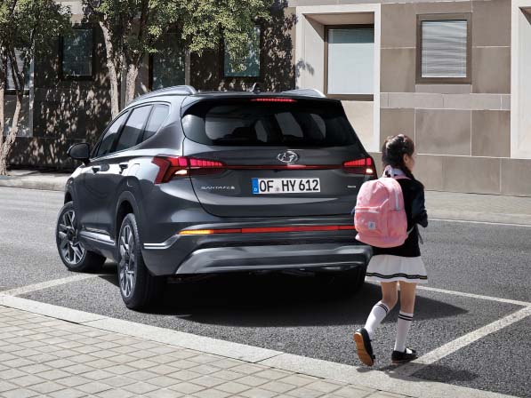 Особливості Hyundai SANTA FE | Техноцентр Навігатор - фото 44