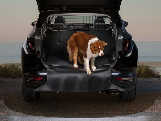 Автосалон Hyundai Запорожье | Техноцентр Навигатор - фото 11