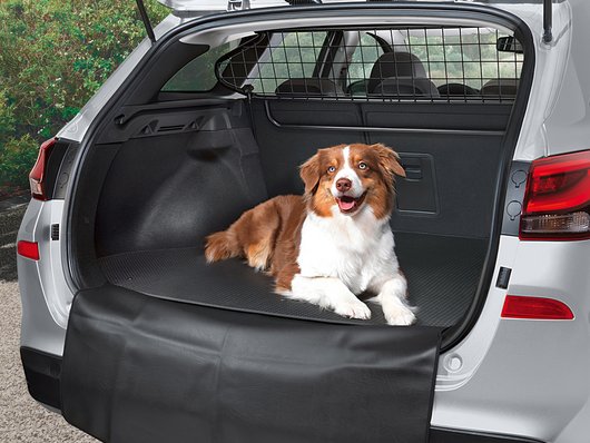 Автосалон Hyundai Запорожье | Техноцентр Навигатор - фото 8