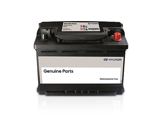 Аксесуари для автомобілів Hyundai у м. Запоріжжя | Техноцентр Навігатор - фото 10